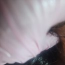 (주)쉬즈케어 이미지