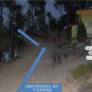 아잘리아그린 이미지