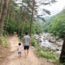 용추계곡 정각 옆 공용 이동식화장실 | 가평 용추계곡 아이와 후기 : 얕은 구간 안전하게 물놀이