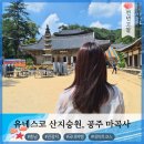 공주 마곡사 관람 포인트 및 주차 완벽정리
