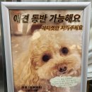 더키친바이슈가 이미지