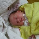 석천할아버지 이미지