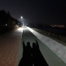 찹쌀꿀호떡
