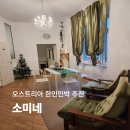 오스트리아 빈 한인민박 추천 소미네 2박 후기