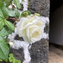 김녕한옥 용암정원 이미지