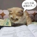 우린 무얼 잊고 지내는 걸까