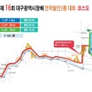 2020년도 대구트라이애슬론대회 (공식대회) 이미지