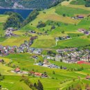 푸른잔디 이미지