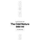 Be IN;(비인) 이미지