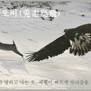 교훈글-토주오비(兎走烏飛) 이미지