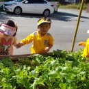 산월초등학교 이미지