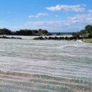 대정서초등학교 병설유치원 이미지