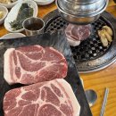 제주도락 네이버블로그