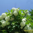 미원초등학교 장락분교 이미지