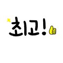 앤애견샵 이미지