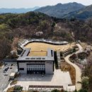 강아지 숲 이미지