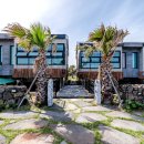 헬로 1204 이미지