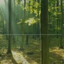 서구-01-159 이미지