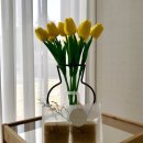 다모리네 이미지