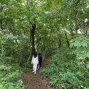 사려니숲길주차장 이미지