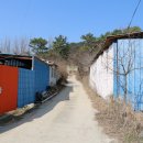 점동초안평분교장 이미지