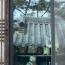 촌캉스 이미지