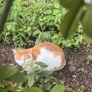 (주)겸산 이미지