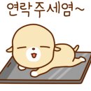 대성음향 이미지