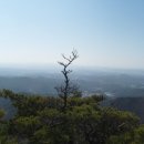 수석이용원