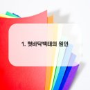 바른이치치과의원 이미지