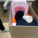 새나네밥상 | [21W~22W]👼🏻베이비 루나 일기 (5) (부제 : 옆모습이 동글 동글 귀여운 당신)