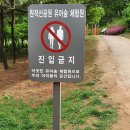 원적산공원 유아숲체험원 이미지