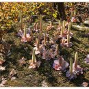 송죽길농장 이미지