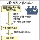대선에 개헌도? 이미지