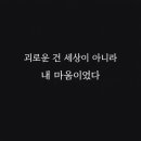 일체유심조 뜻 쉽게 설명｜우리가 괴로운 진짜 이유는 세상이 아니라 ‘마음’이다 이미지
