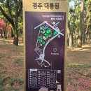 대릉원 | 경주 대릉원 후기｜걷기 좋은 코스, 포토존, 소요시간 정리