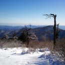 제375회 강원도 "태백산(1,567m) " 정기산행 이미지