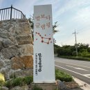 부산근교 밤하늘이 멋진 합천 글램핑 추천[별보다글램핑]A-5 후기