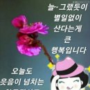 머리하는손 이미지