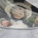 진해안과의원 | [공지] 아기 콧물 병원 언제 가야할까? | 8개월아기 코감기... 미래아이소아과다녀온 후기