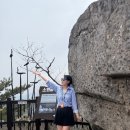 팔공산힐링 이미지