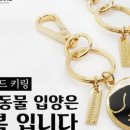 포인사이트 이미지