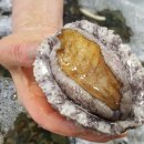 동서천농협파머스마켓 이미지