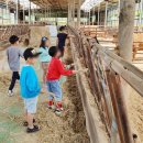 윤슬농장 이미지