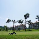 해피시티 이미지