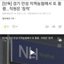 지역농협에서 또 횡령...직원은 잠적 이미지