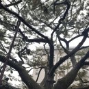 삼호본동경로당 이미지