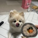 뚜드림 다사점 네이버블로그