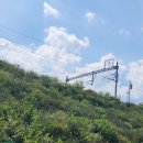 초곡1리 이미지