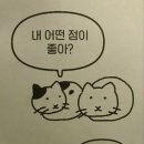 양재목장 이미지